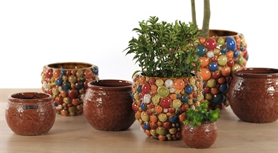 24/25 Herbst, Weihnacht